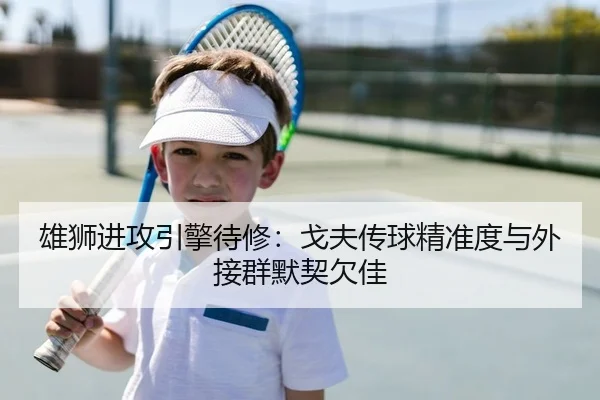 雄狮进攻引擎待修：戈夫传球精准度与外接群默契欠佳